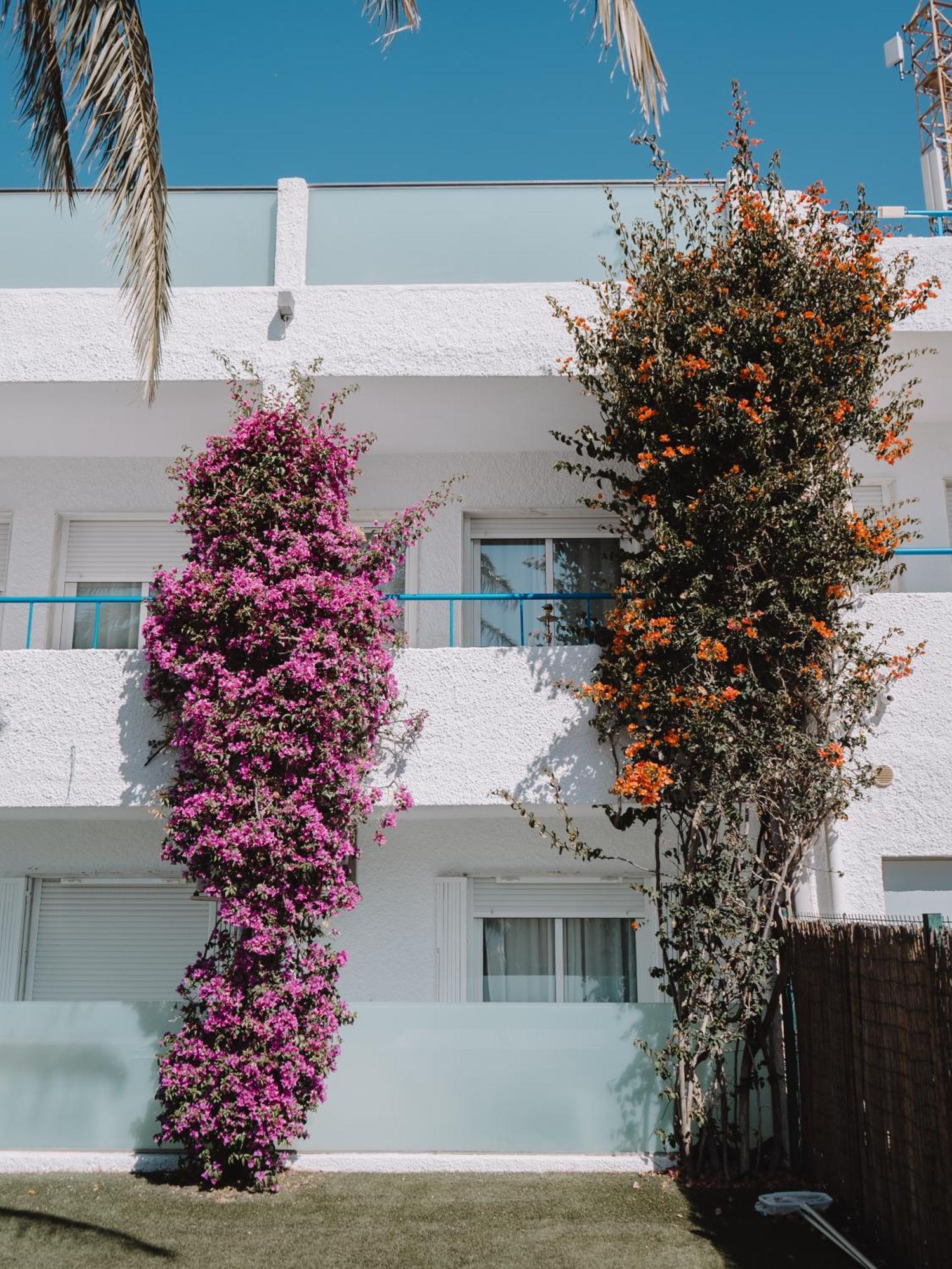 Hostal Las Gaviotas Del Cabo San Jose  Exterior photo